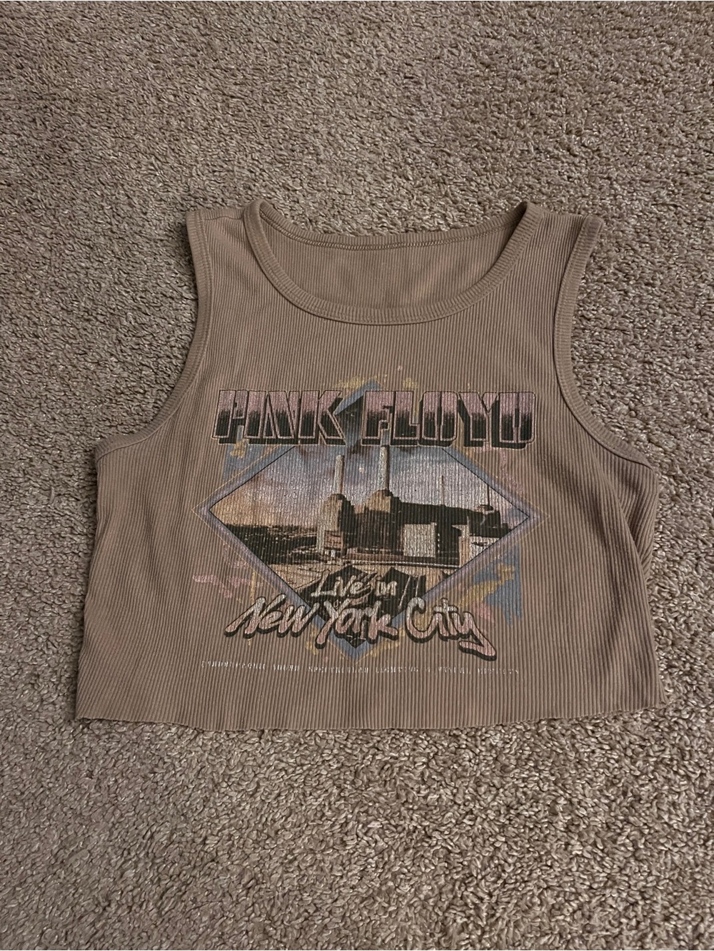 Pink Floyd Beige Crop Tank with Retro Graphic